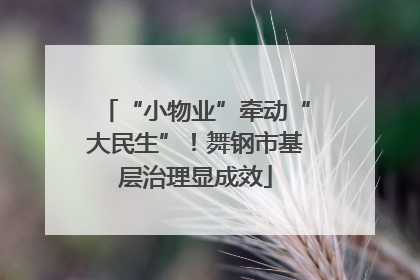 “小物业”牵动“大民生”！舞钢市基层治理显成效